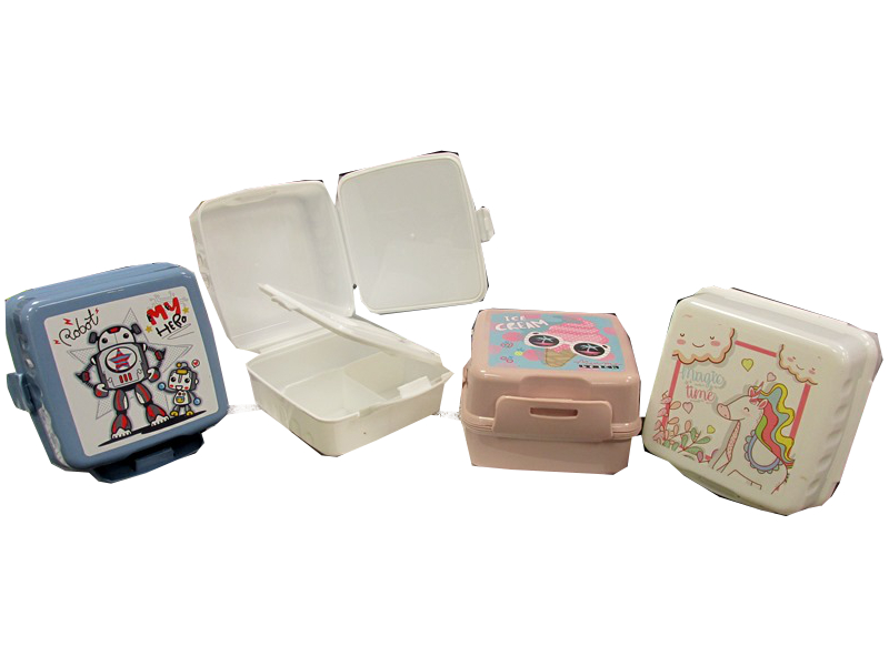 Image of Kids 2 Compartment  Lunch Box 3asst Pk12