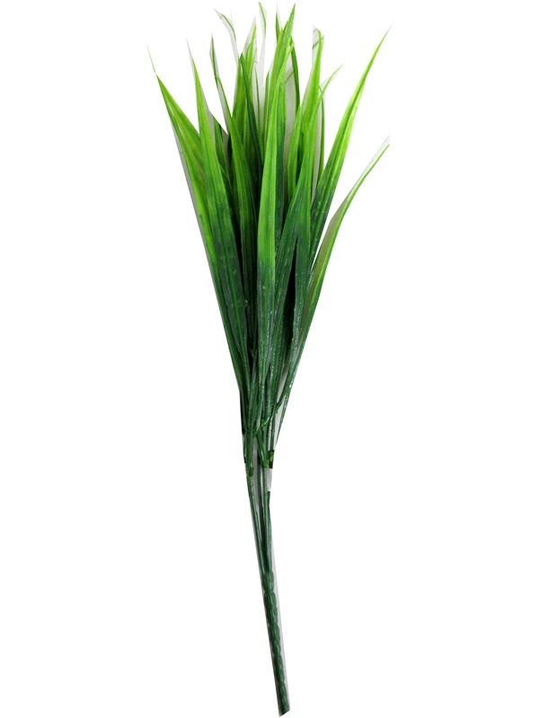 Image of Grass Leaf Bunch Pk24