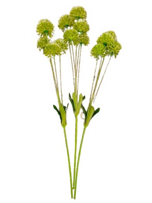 Photo of Globe Thistle Shead Single Stem Pk24
