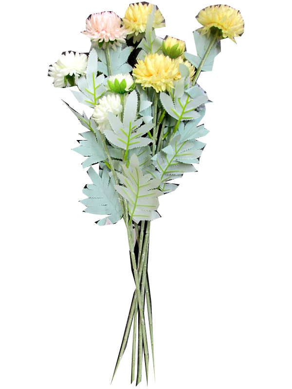 Image of Chrysanthemum Single Stem Pk24