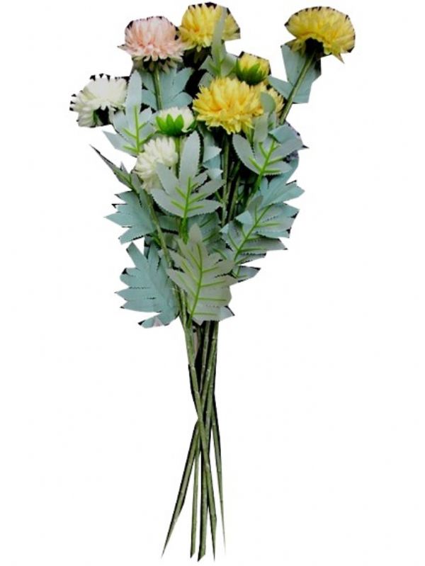 Image of Chrysanthemum Single Stem Pk24