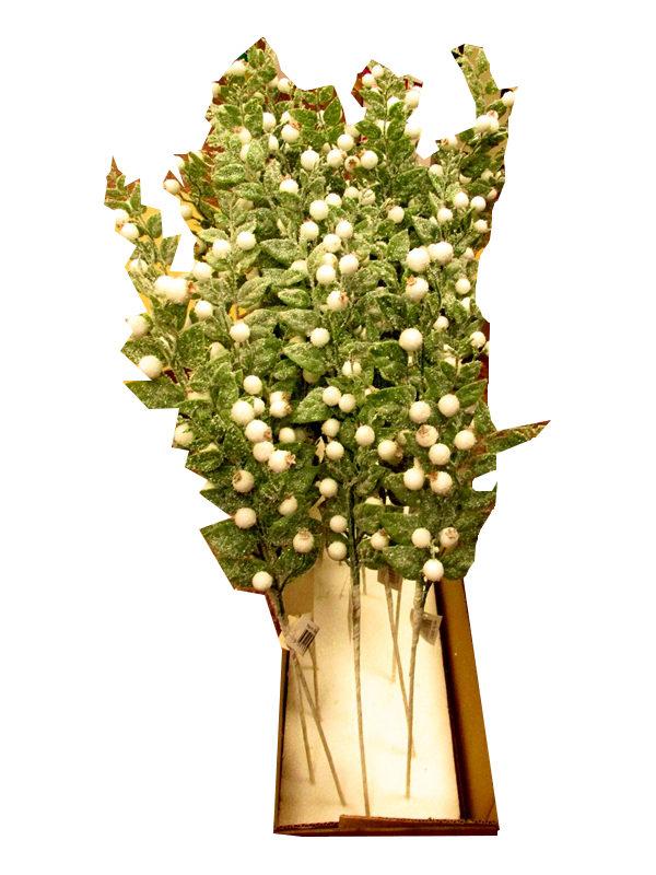 Image of Long Stem Frosted Creeper Berry Pk24 65cm/22