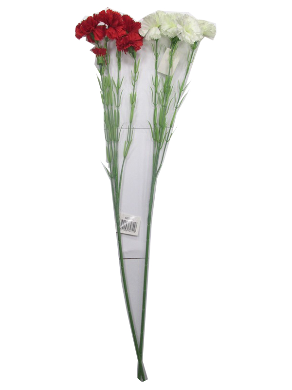 Image of Long Stem Red/white Carnation Bunch Pk24