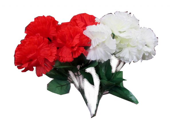 Image of Large Head Red/white Carnation Pk 24