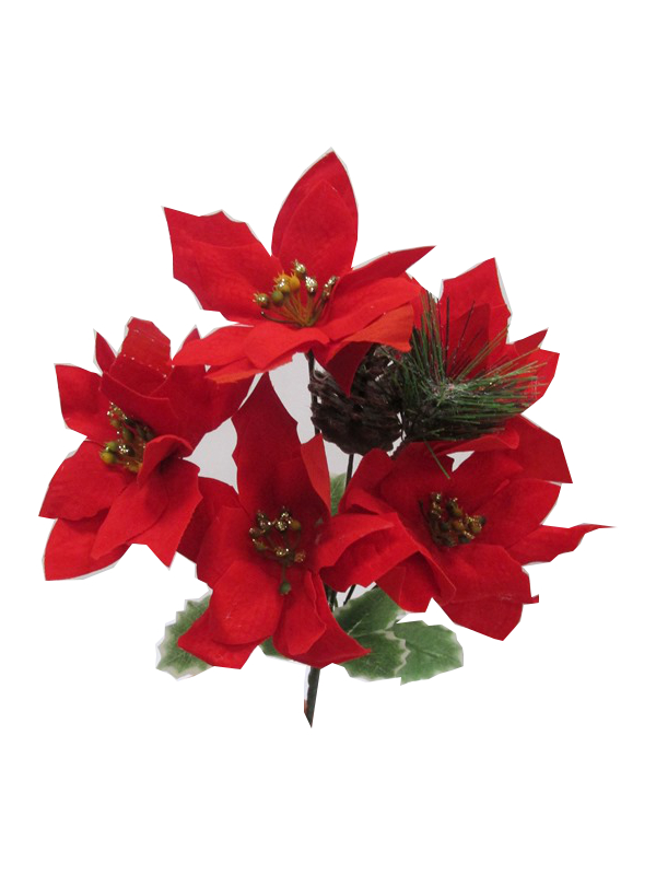 Image of Ponsettia Bunch With Cone & Gold Berries Pk24