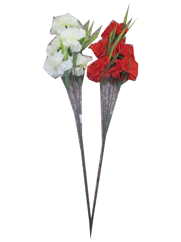 Image of Shead Carnation 60cm Pack 24