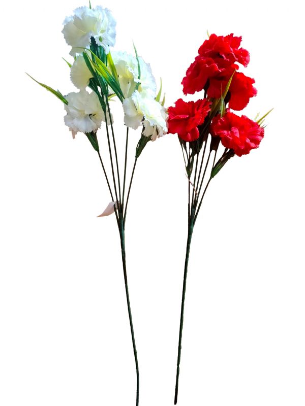 Image of Shead Carnation 60cm Pack 24