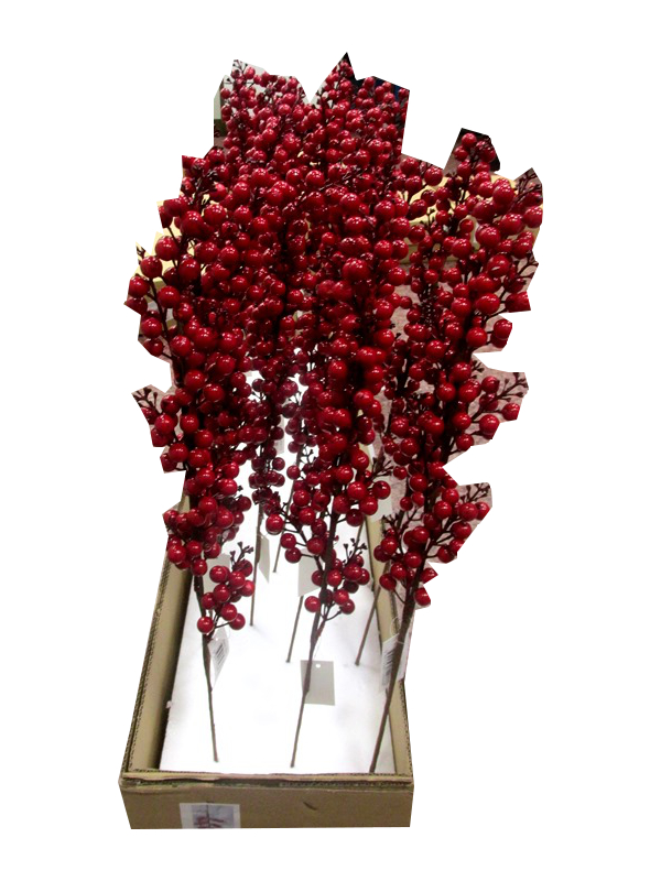 Image of Tall Berry Stem 24'/60cm Pk24