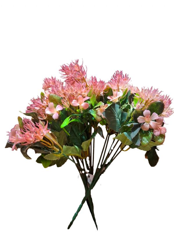 Image of Aster Blossom Bunch Pk48