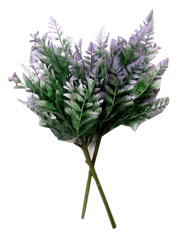 Image of Lilac Tipped Foliage Pk48