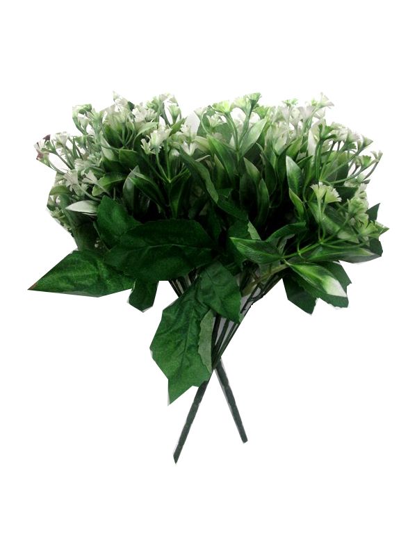 Image of White Caltha Bunch  7 Stem   Pk48