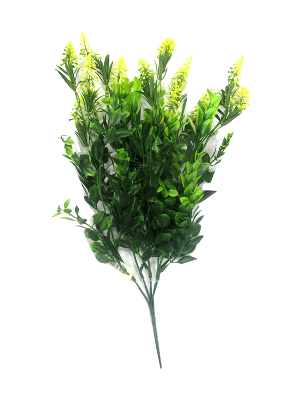Image of Little Maid Ruscus Bunch Pk48