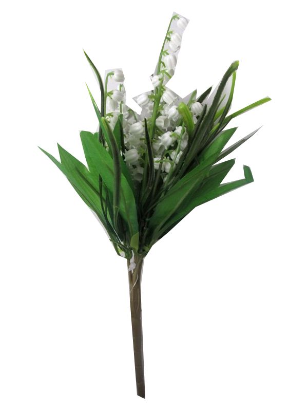 Photo of Snowdrop Bunch Pk24