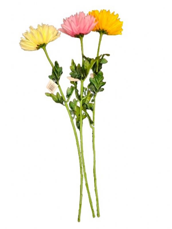 Photo of Long Stem Dahlia Pk24