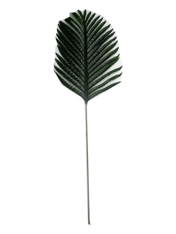 Image of Large Palm Tree Leaf Pk12