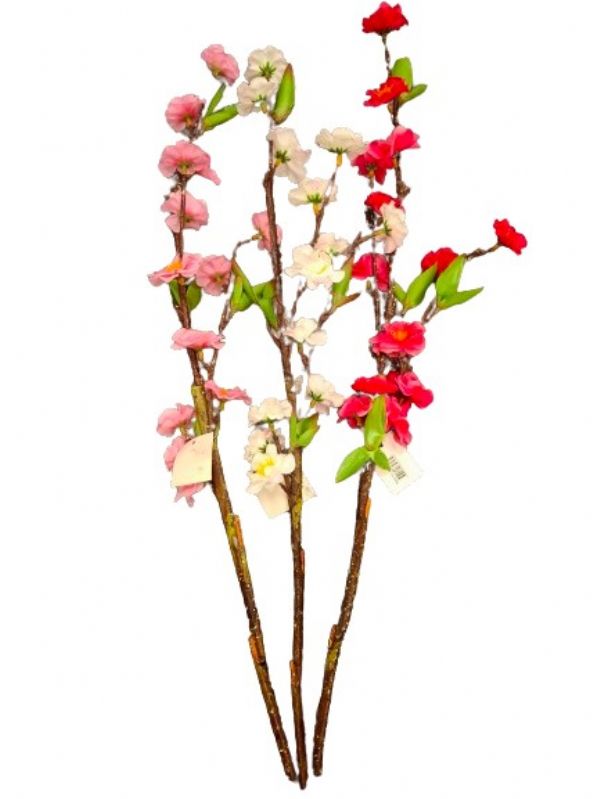 Photo of Cherry Blossom Branch Pk24