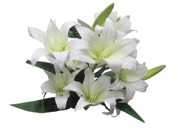Image of Large Lilly Bunch Pack 12