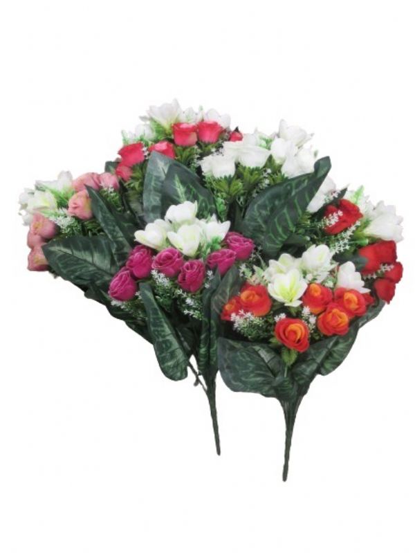 Photo of Large Rosebud Bunch Variggated Leaf Pk24