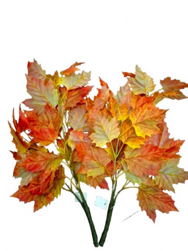 Photo of Autumn  Maple Leaves Branch Pk24