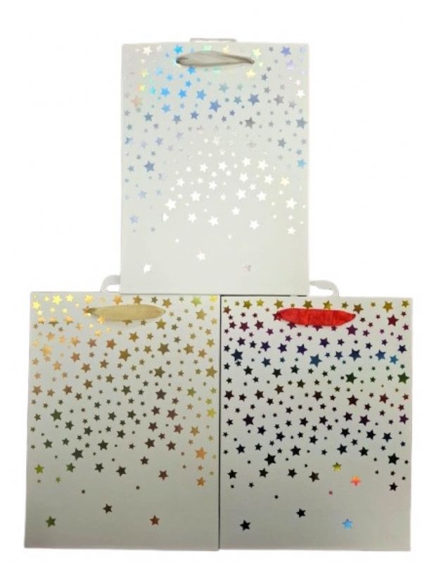 Photo of Large Star Gift Bag Pk12