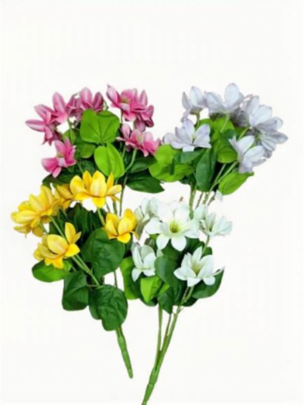 Photo of Large 5 Stem Clematis Asst Pk 12