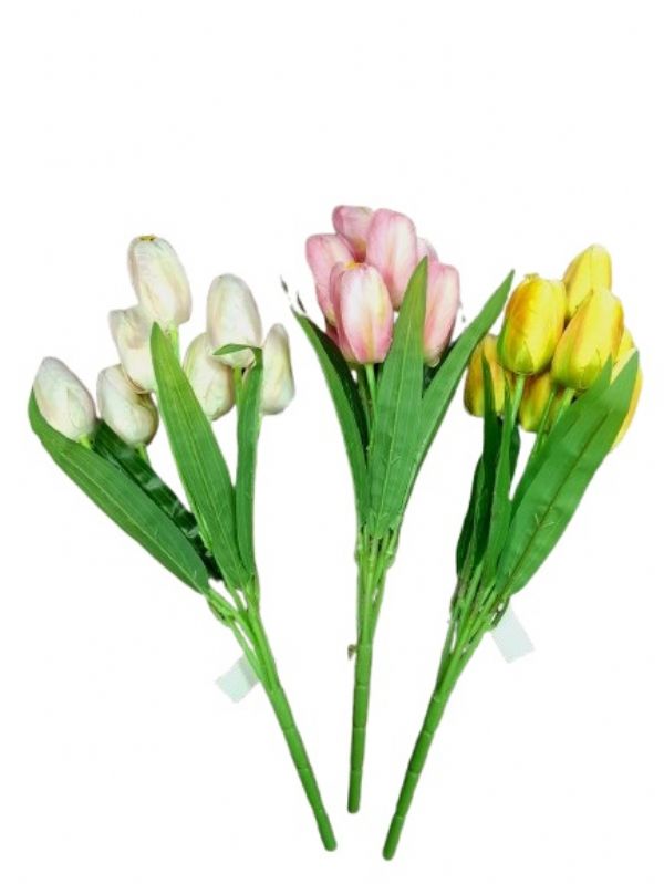 Photo of 6 Spring  Tulips Asst Pk24