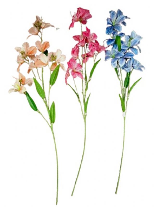 Photo of Bahinia Tall Stem Asst Pk24