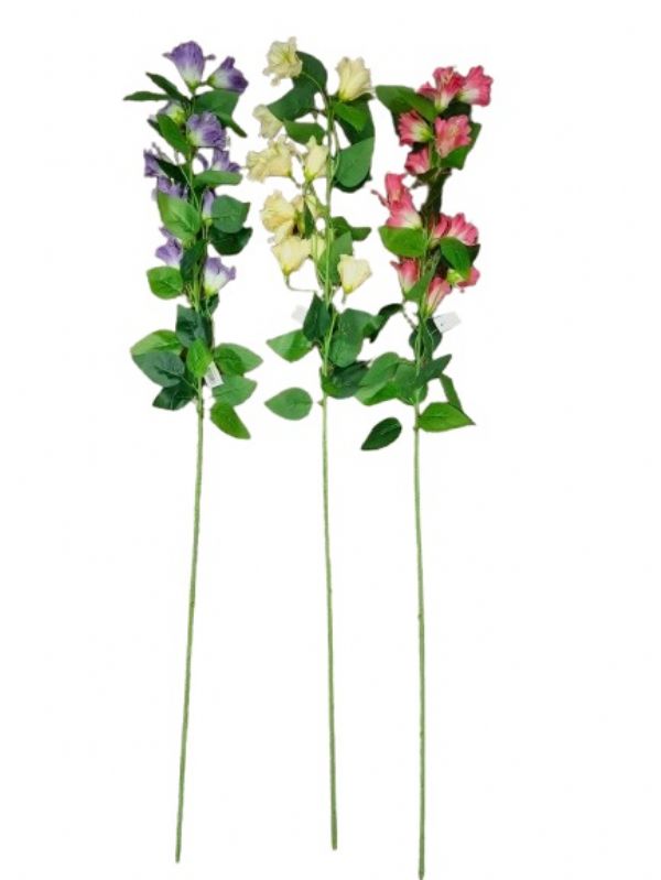 Photo of Trumpet Lillies Tall Stem Asst Pk24