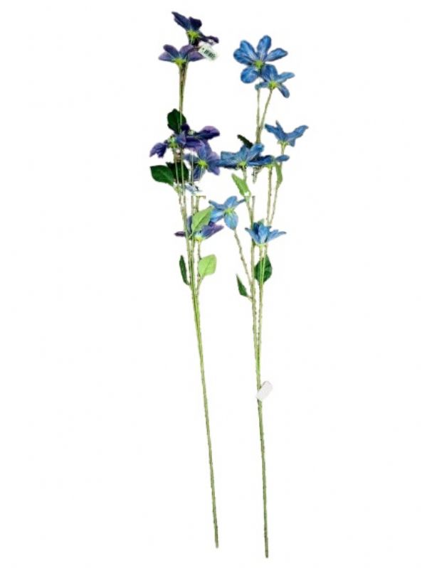 Photo of Japensese Orchid Tall Stem Asst Pk24