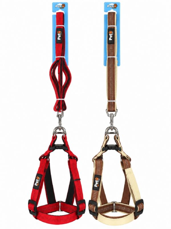 Photo of Medium Dog Leed Grip 2 Asst Pk6